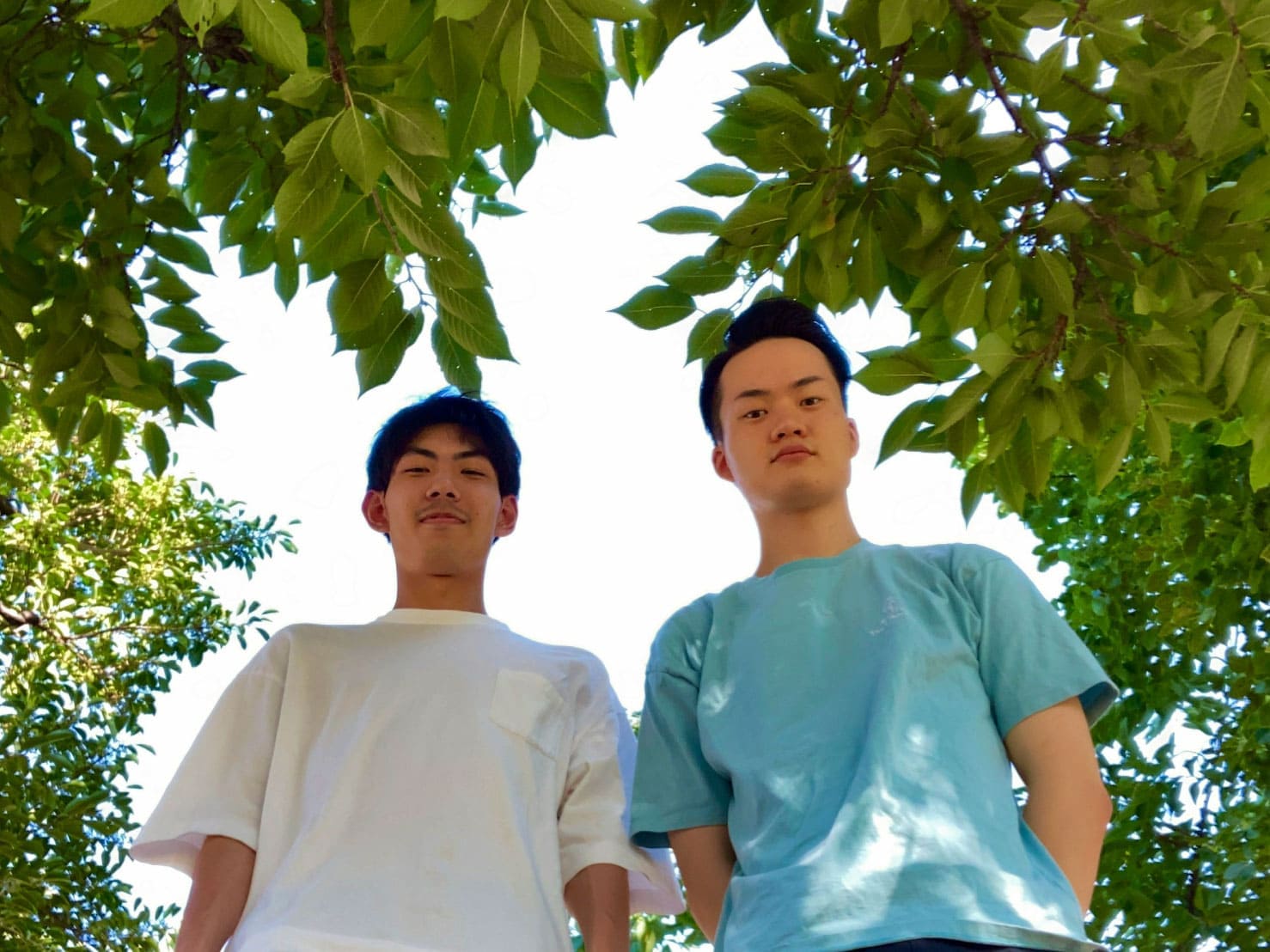 ゲートナンバー